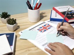 UK government policies