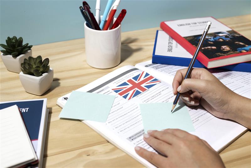 UK government policies
